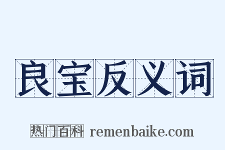 良宝反义词是什么意思的图片